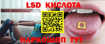 стафф Донской