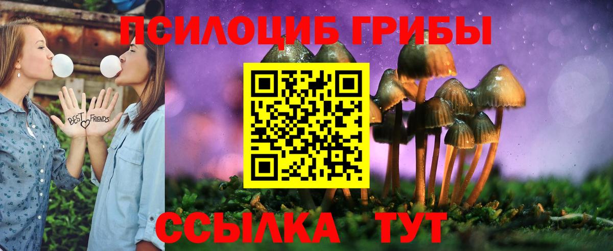 Псилоцибиновые грибы прущие грибы  продажа наркотиков  Людиново  Галлюциногенные грибы Psilocybine cubensis  Вход с VPN 